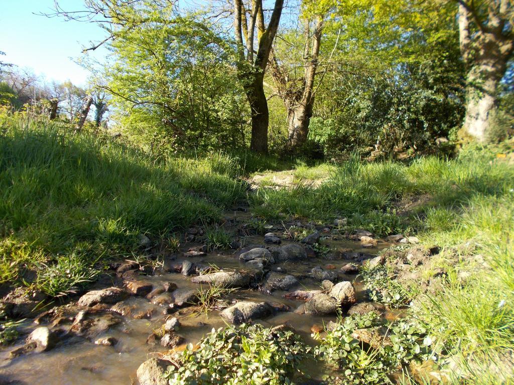 Terre Et Eau *